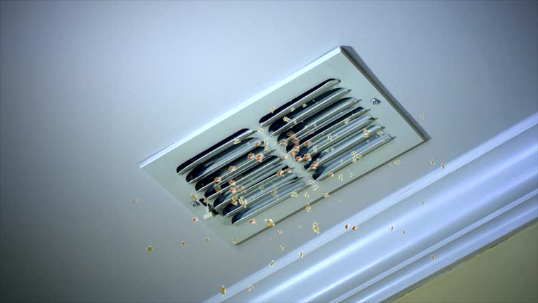 Best Dryer Vent Cleaning Services  in Brazil, IN