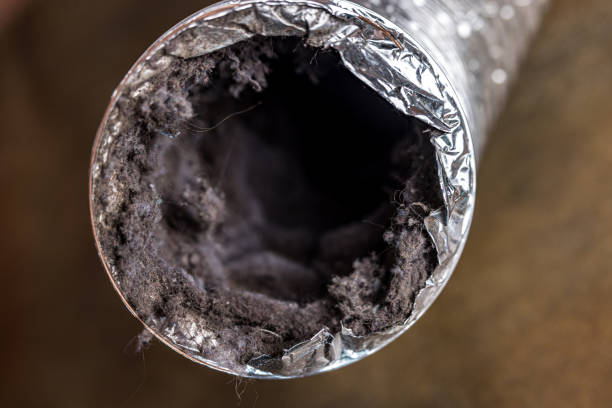 Best Duct Cleaning for Offices  in Brazil, IN